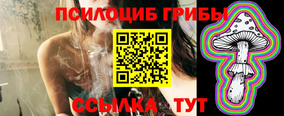 Галлюциногенные грибы прущие грибы Заволжье