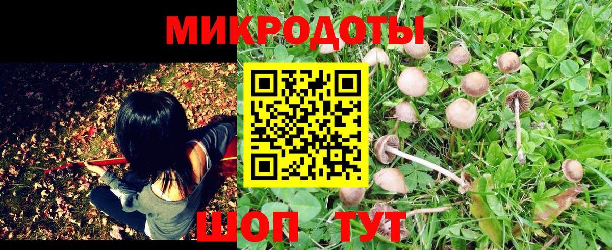 Заволжье  Галлюциногенные грибы мухоморы  Вход с VPN 